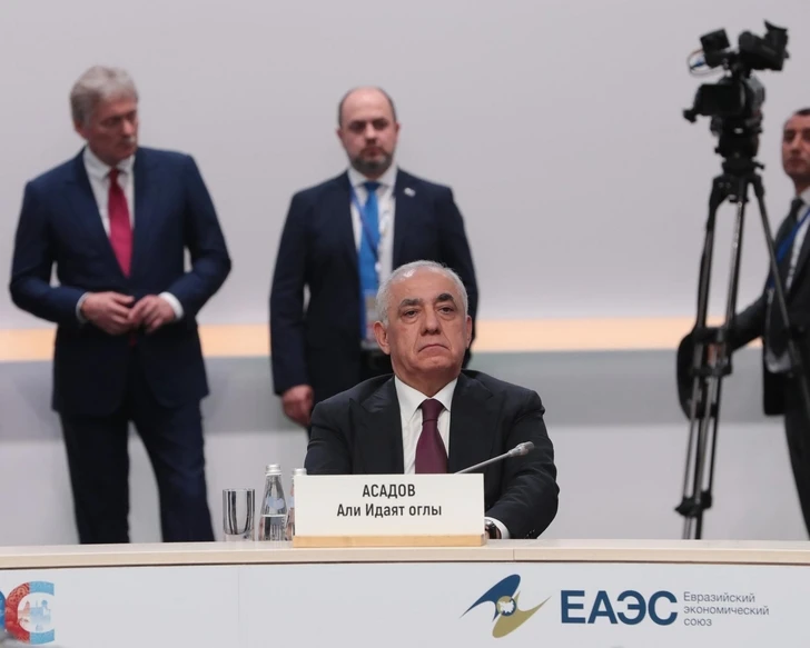 Али Асадов принял участие во встрече Совета глав правительств СНГ с президентом РФ - ФОТО