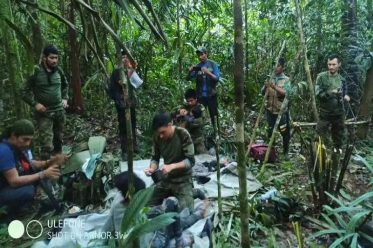 В джунглях Колумбии обнаружили выживших после майской авиакатастрофы детей - ФОТО
