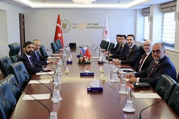 Азербайджан и Турция обсудили перспективы сотрудничества в сфере энергетики