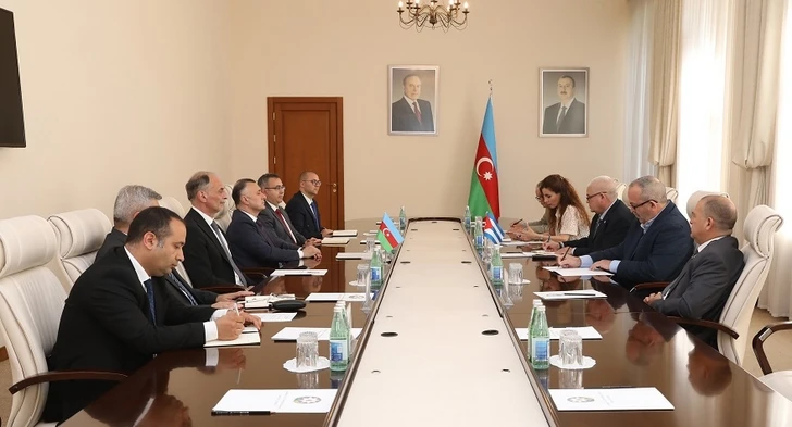 Расширяется сотрудничество между министерствами здравоохранения Азербайджана и Кубы - ФОТО