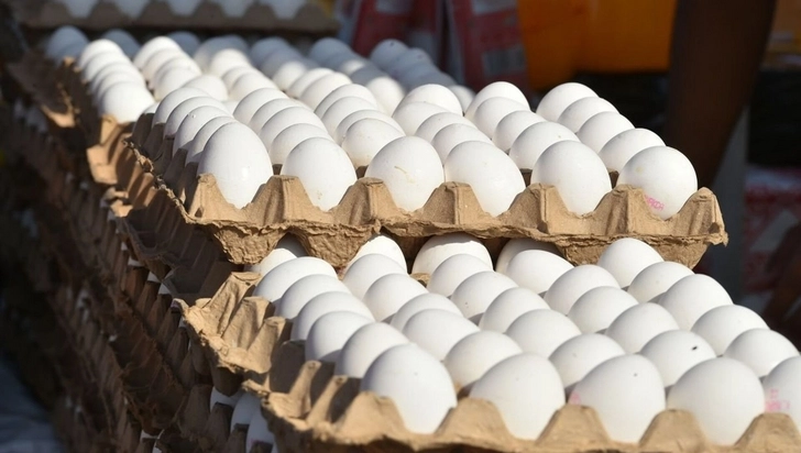 Азербайджанские яйца скоро будут в Бельгии