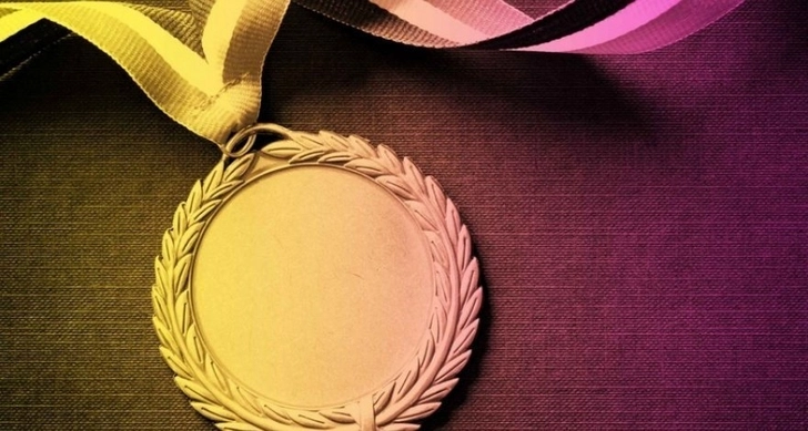 В Азербайджане учреждена медаль «За заслуги в области разминирования» - ФОТО