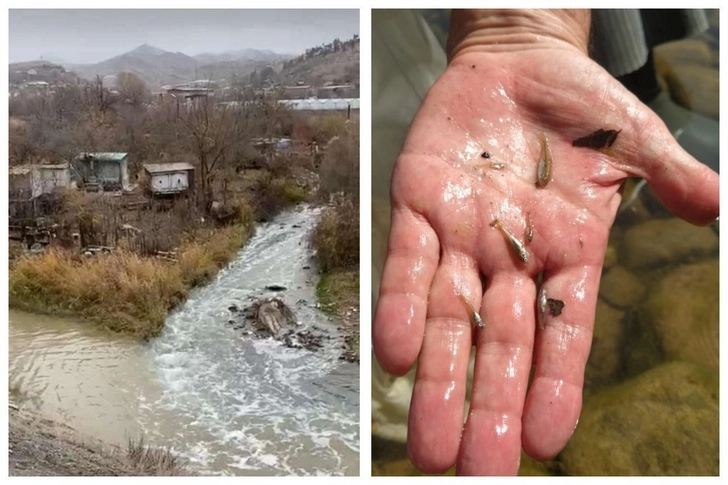 Сабит Багиров: Горнодобывающие предприятия Армении давно сбрасывают сточные воды в приграничные реки