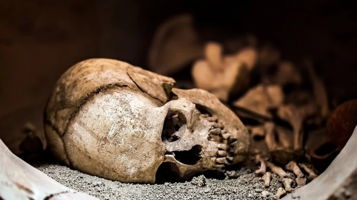 На территории столичного поселка обнаружены человеческие останки
