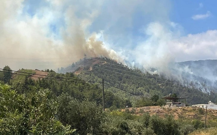 Лесной пожар в турецком Хатае локализован - ОБНОВЛЕНО
