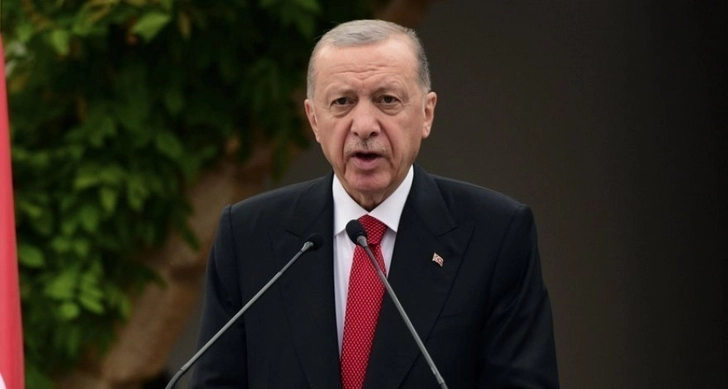 Президент Турции обсудит в Будапеште украинский кризис и дорожную карту безопасности в Черном море