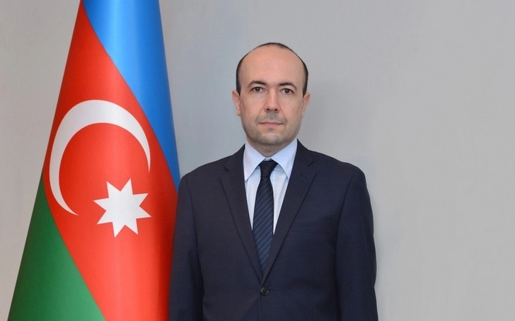 Замглавы МИД Азербайджана проинформировал австрийских чиновников о провокациях Армении