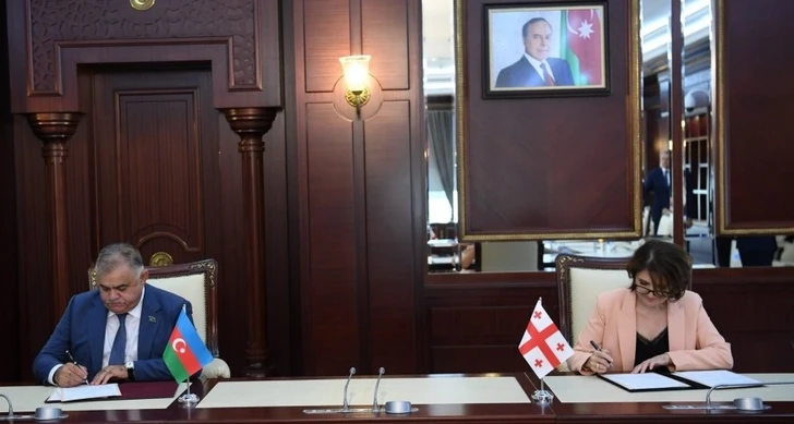 Азербайджан и Грузия углубляют сотрудничество в сфере культуры - ФОТО