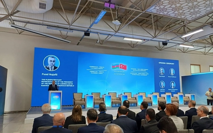 В Нахчыване прошли III Азербайджано-турецкий энергофорум и международная конференция - ФОТО/ОБНОВЛЕНО