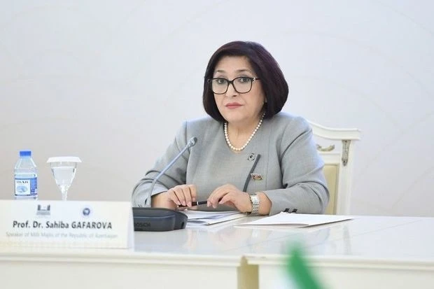 Сахиба Гафарова ответила на провокационные заявления спикера армянского парламента