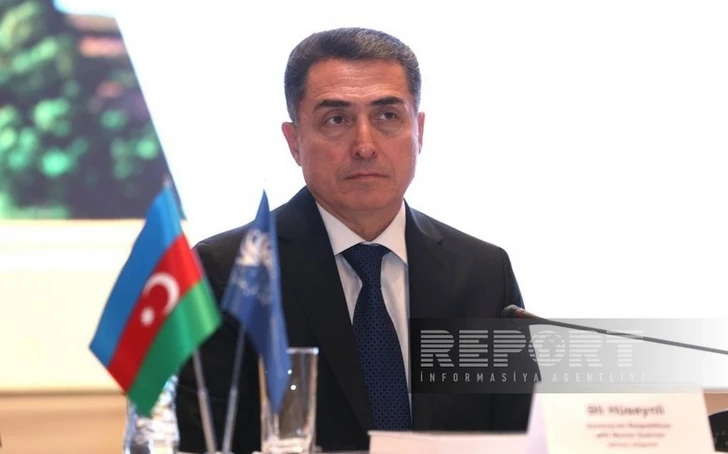 Али Гусейнли: Когда-нибудь день возвращения в Западный Азербайджан появится в нашем календаре