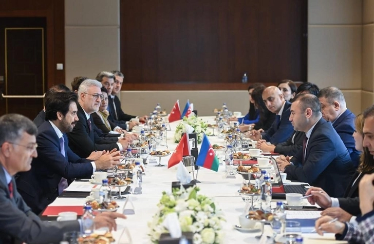 В Анкаре состоялось заседание совместной азербайджано-турецкой комиссии по культуре - ФОТО