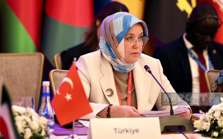 Замминистра: Сотрудничество Азербайджана и Турции является примером для многих стран