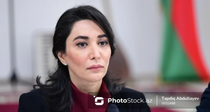 Сабина Алиева: Азербайджан – это одна из стран, наиболее пострадавших от минного террора