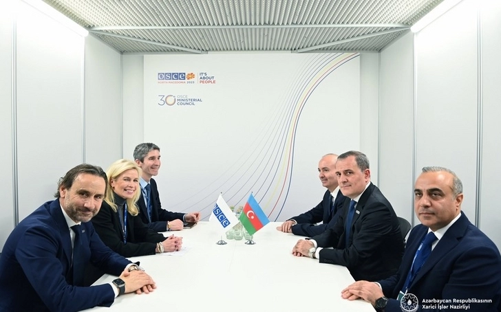 Обсуждены вопросы сотрудничества между Азербайджаном и ПА ОБСЕ - ОБНОВЛЕНО/ФОТО