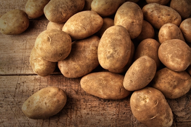 В картофеле, завезенном из Беларуси в Азербайджан, обнаружен карантинный вредный организм