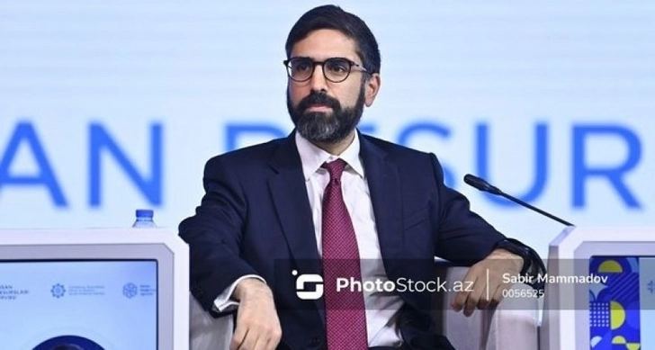 Ровшан Наджаф: Азербайджан стал ведущей страной региона как надежный поставщик энергии - ФОТО