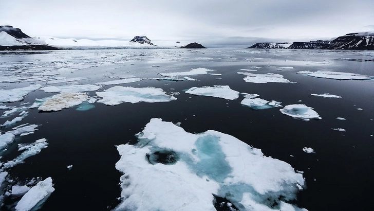 В США с отколовшейся льдины спасли более 120 рыбаков