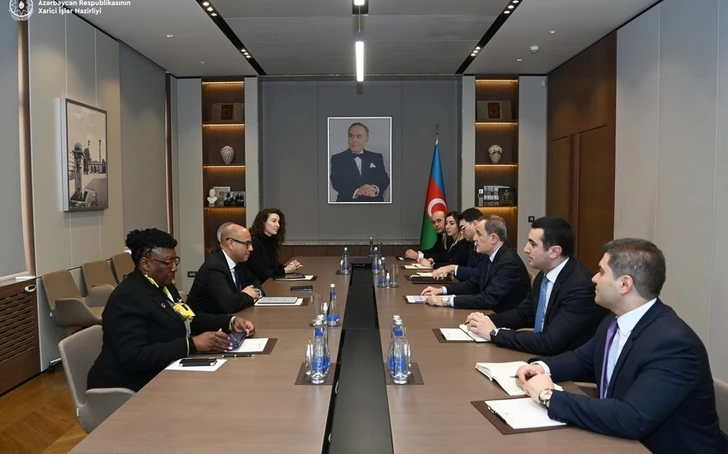 Глава МИД Азербайджана обсудил с послом ООН подготовку к COP29