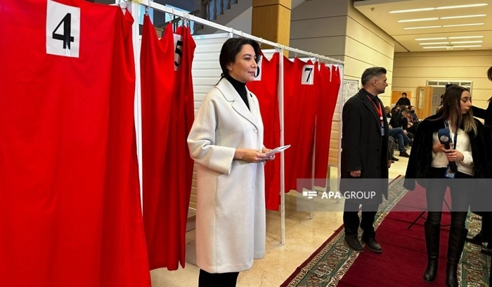 Омбудсмен Азербайджана: Голосование проходит на очень высоком уровне, наблюдается избирательная активность