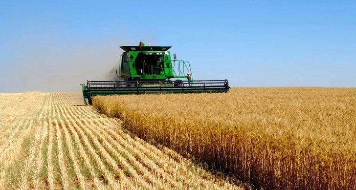Аграрный сектор в Азербайджане вырос