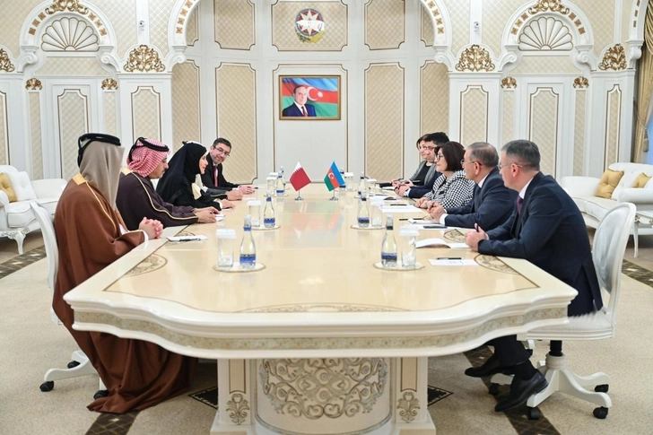 Сахиба Гафарова встретилась с заместителем председателя Совета Шуры Государства Катар - ФОТО