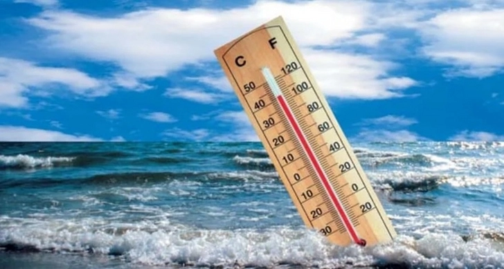 Ученые: Температура океана в феврале 2024 года достигла рекордно высокого уровня
