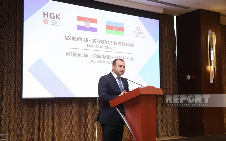 В Хорватии пройдут Дни азербайджанской культуры - замминистра