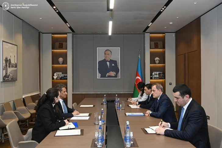 Обсуждены вопросы сотрудничества между Азербайджаном и IRENA в рамках COP29 - ФОТО