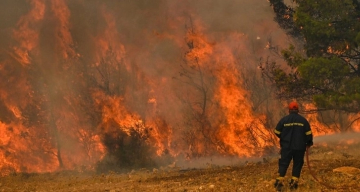 В прошлом году лесные пожары опустошили в ЕС территорию, в два раза превосходящую площадь Люксембурга