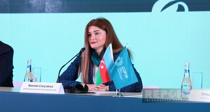 Председатель правления Операционной компании COP29: Азербайджан готов к приему гостей