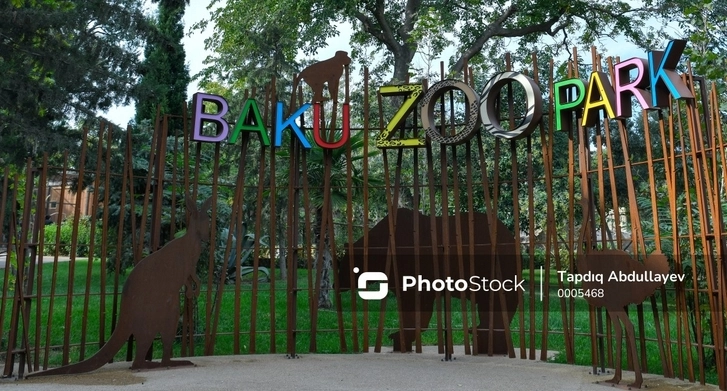 Бакинский зоопарк: главный ветеринар рассказал об особенностях содержания животных