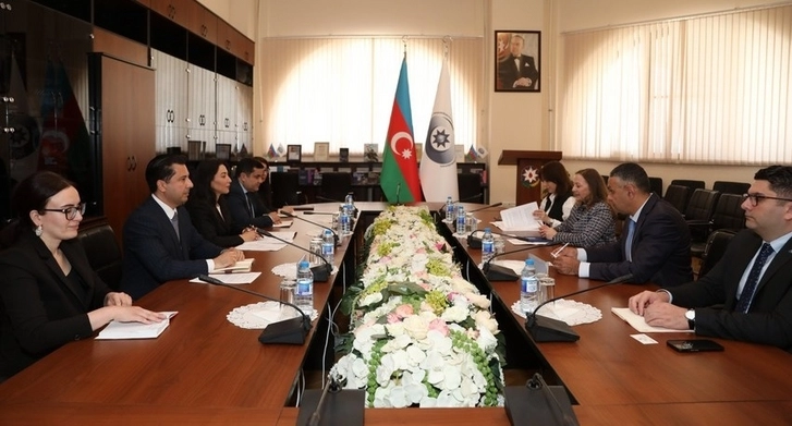 Сабина Алиева проинформировала представителя ООН о минной проблеме в Азербайджане