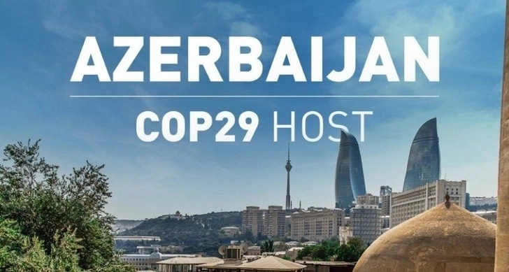 Генсек СВМДА: Принятые на COP29 решения найдут свое развитие в рамках организации