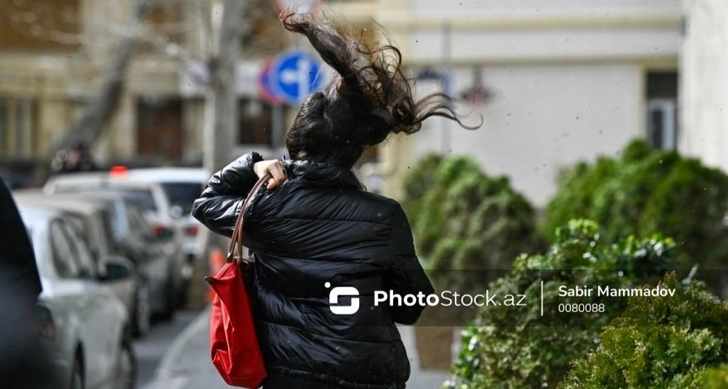 В Баку усилился ветер - ФАКТИЧЕСКАЯ ПОГОДА