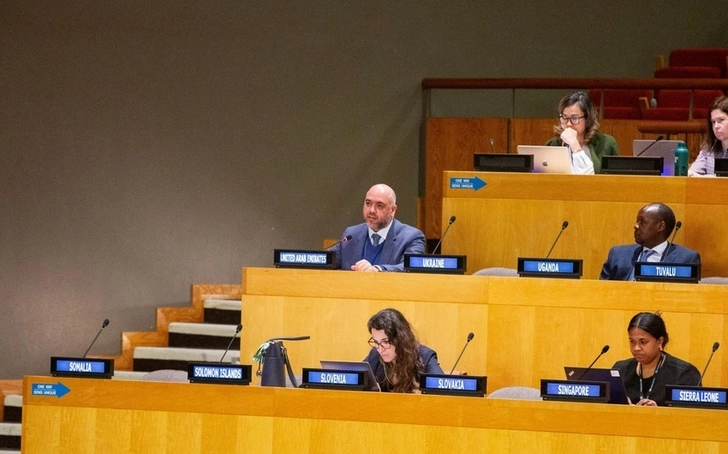 ОАЭ: Как председатели COP28, мы полностью поддерживаем Азербайджан
