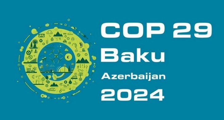 В Азербайджане будут применяться налоговые льготы в связи с COP29: законопроект принят в первом чтении