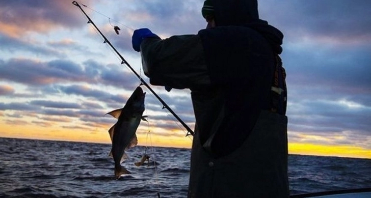 В Азербайджане будет временно запрещена рыбная ловля