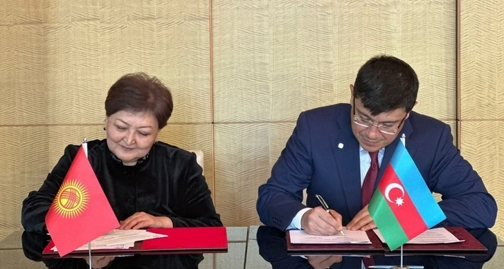 Диаспоры Азербайджана и Кыргызстана будут сотрудничать - ФОТО