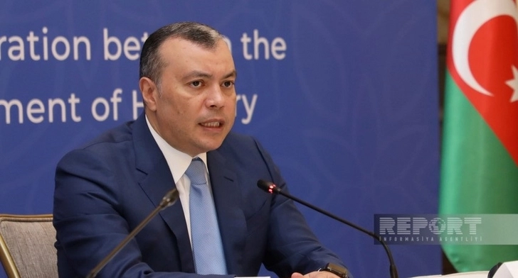Бабаев: Венгерские компании запустят производство лекарств в Азербайджане в 2025 году