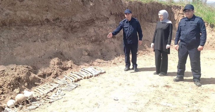 Число найденных человеческих останков в селе Малыбейли достигло восьми - ОБНОВЛЕНО - ФОТО/ВИДЕО