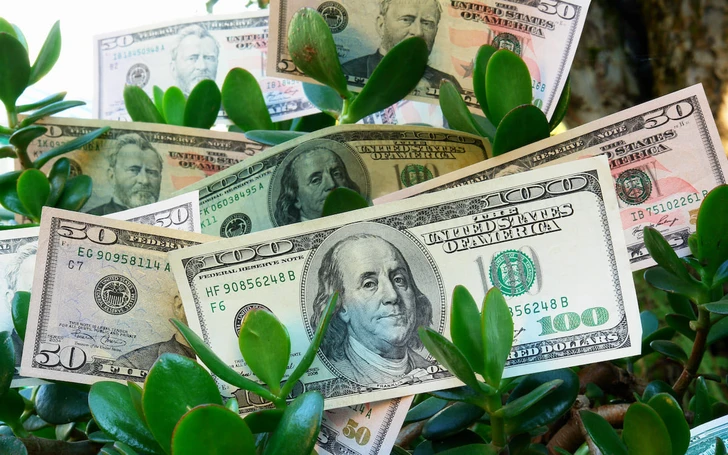 С рядом азербайджанских компаний ведутся переговоры о выпуске зеленых облигаций