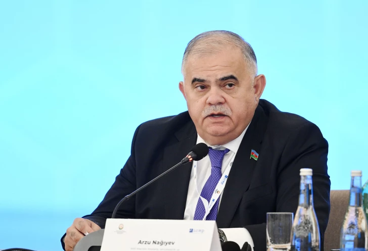 Media.az - Новости Азербайджана - В Баку состоялась международная конференция по проблеме пропавших без вести лиц