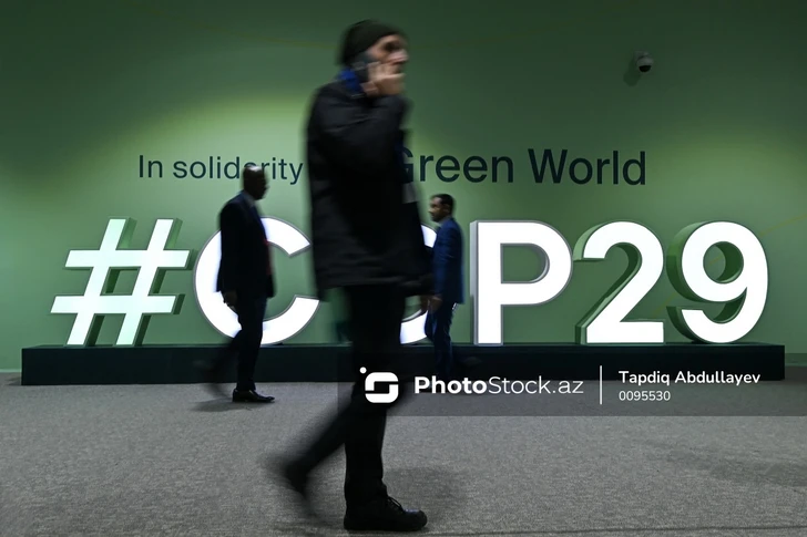 В Зеленой зоне COP29 прошло мероприятие, посвященное привлечению инвестиций в инфраструктуру ВИЭ