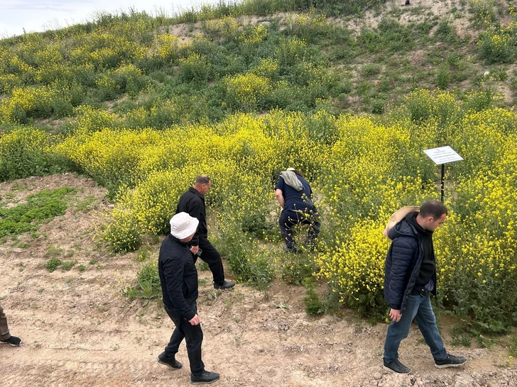 Media.az - Новости Азербайджана - Средневековая керамика и уникальный мавзолей обнаружены в Агдеринском и Агдамском районах