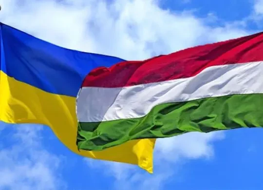 Венгрия приняла решение о высылке семерых украинцев, задержанных с крупной суммой денег и золотом