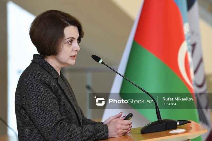 Рена Гумбатова: Энергоаудит домохозяйств – ключ к энергоэффективности Азербайджана