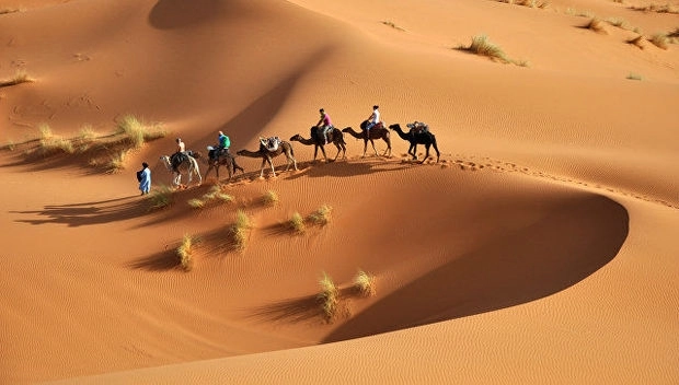 Пустыня Сахара может стать плодородной