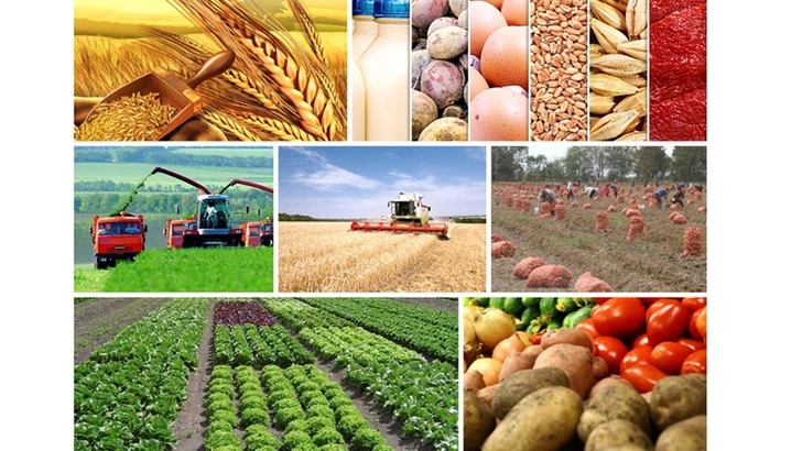 Эксперт: погодные условия могут повлиять на урожай и стоимость продукции