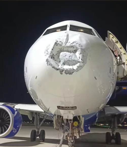 Media.az - Новости Азербайджана - Молния ударила в самолет IndiGo: 110 человек на борту